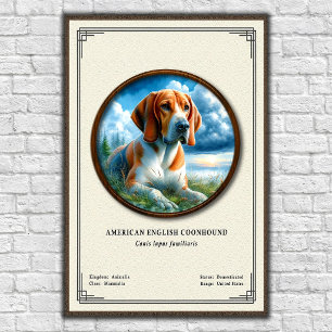 Poster Coonhound américain Série de zoologie