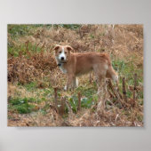 Poster Cooper (Devant)