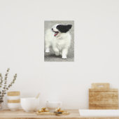 POSTER COOPER (Cuisine)