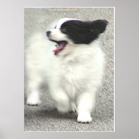 POSTER COOPER (Devant)