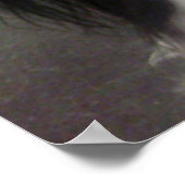 POSTER COOPER DANS LES OMBRES (Coin)