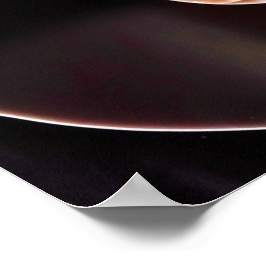Poster - Cooper Fibonacci Sequi Shell (Coin)
