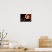 Poster - Cooper Fibonacci Sequi Shell (Cuisine)