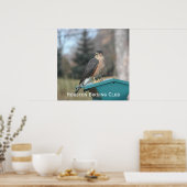 Poster Coopers Hawk (Cuisine)