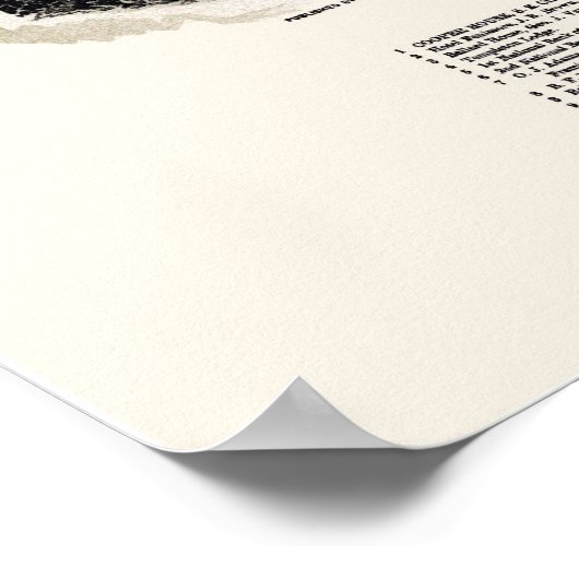 Poster Cooperstown, NY Panoramic Map - 1890 (Coin)