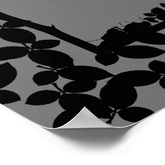 Poster Coordonnées des opiacés (Coin)