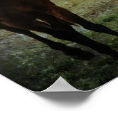 Poster Copains de cheval Grunge (Coin)