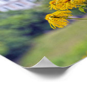 Poster Copenhague, Danemark, Tournesols (Coin)