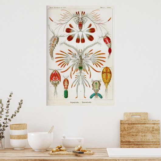 Poster Copepoda (crustacés) (Cuisine)
