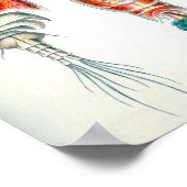 Poster Copepoda vintage Ocean Animaux par Ernst Haeckel (Coin)