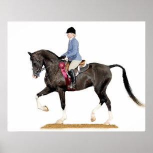 Poster Copie à moitié Arabe d'affiche de cheval de