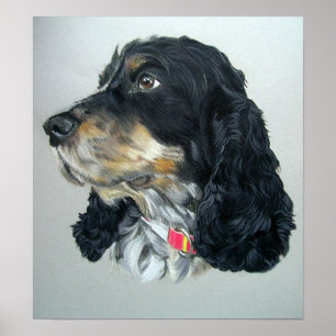Poster Copie anglaise d'affiche de chien de cocker