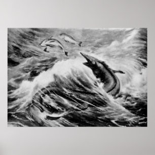 Poster Copie antique animale préhistorique de Mosasaurus