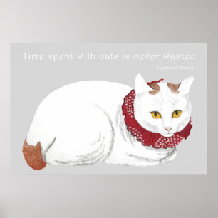 Poster Copie blanche d'affiche de chat