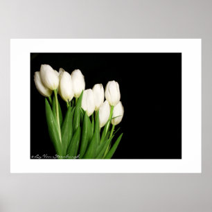 Poster Copie blanche de tulipes