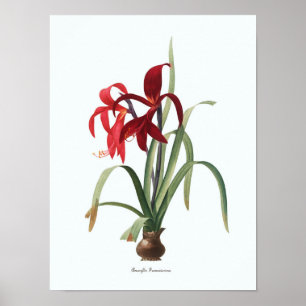 Poster Copie botanique d'art d'illustration florale