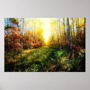 Poster Copie colorée brillante de paysage