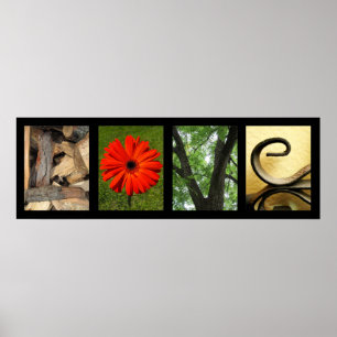 Poster Copie créative d'art de photographie d'alphabet