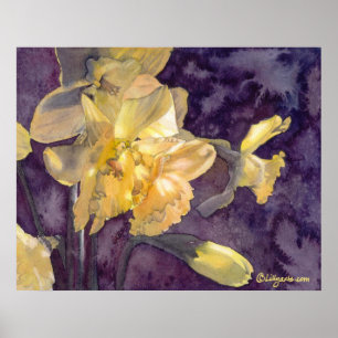 Poster Copie d'affiche d'aquarelle de jonquilles de clair