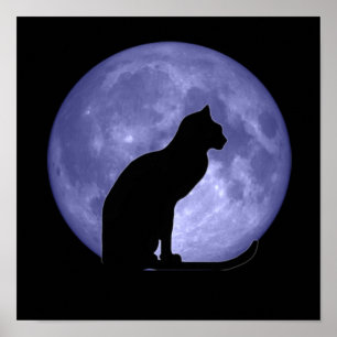 Poster Copie d'affiche de lune bleue de chat noir