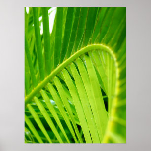 Poster Copie d'affiche (de pirouette tropicale)