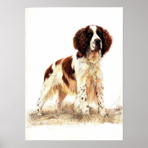 Poster Copie d'affiche de portrait de chien d'épagneul de
