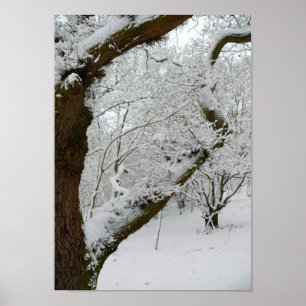 Poster Copie d'affiche de scène de neige d'hiver