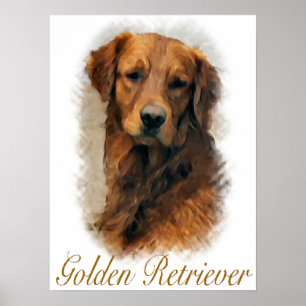 Poster Copie d'art de cadeaux de golden retriever