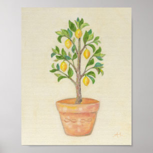 Poster Copie d'art de citronnier