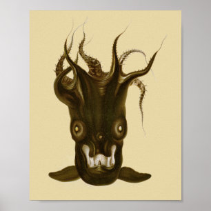 Poster Copie d'art de créature de la Mer Noire de calmar
