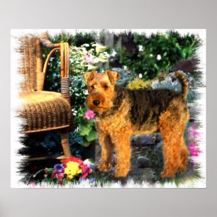 Poster Copie d'art de gallois Terrier