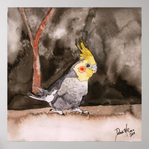 Poster copie d'art de peinture d'oiseau de cockatiel