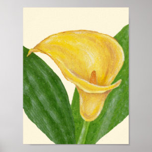 Poster Copie d'art de zantedeschia