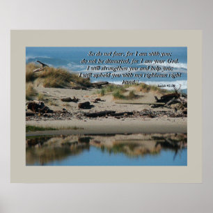 Poster Copie de 41:10 de plage de bois de flottage et