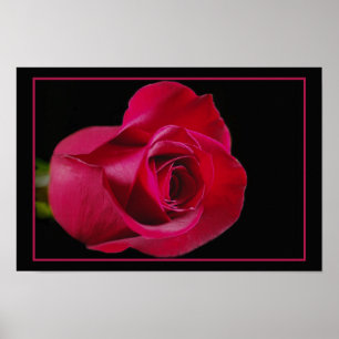 Poster Copie de bourgeon de rose rouge