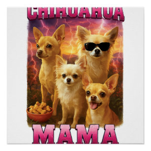 Poster Copie de Chihuahua Copie