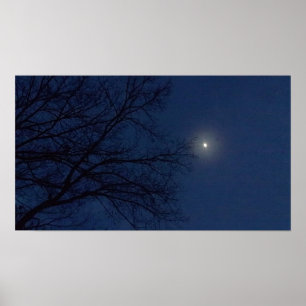 Poster Copie de ciel nocturne