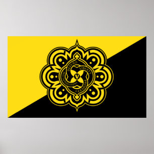 Poster Copie de drapeau à C.A.