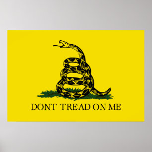 Poster Copie de drapeau de Gadsden (ne marchez pas sur