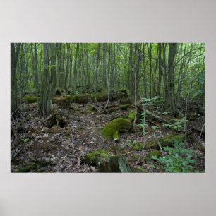 Poster Copie de forêt du Michigan