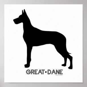 Poster Copie de great dane