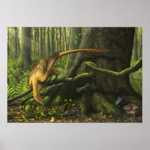 Poster Copie de Jeholornis