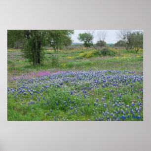 Poster Copie de pays de colline du Texas