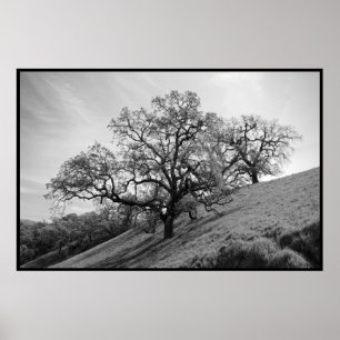 Poster Copie de poésie d'arbre