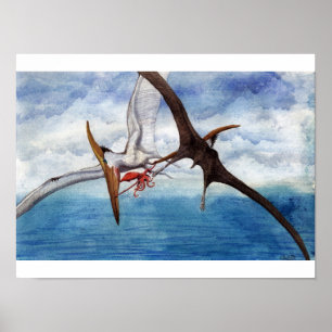 Poster Copie de Pteranodon