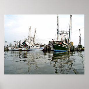 Poster Copie de SHRIMPERS