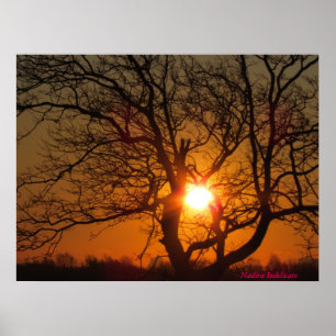 Poster Copie de toile de lever de soleil