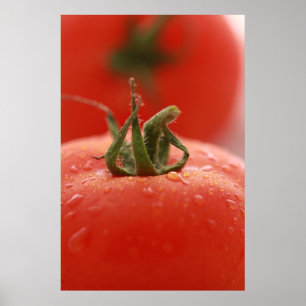 Poster Copie de tomate