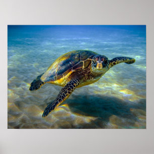 Poster Copie de tortue de mer de Leatherneck