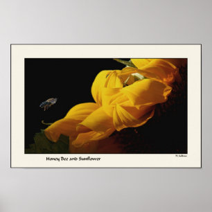 Poster Copie de tournesol et d'abeille